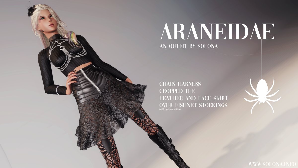 Araneidae