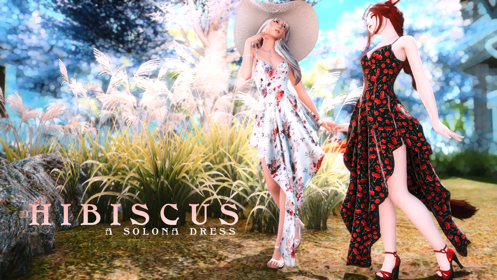 Hibiscus