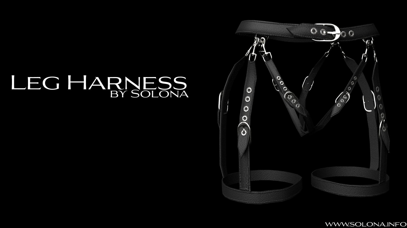 Waist Harness