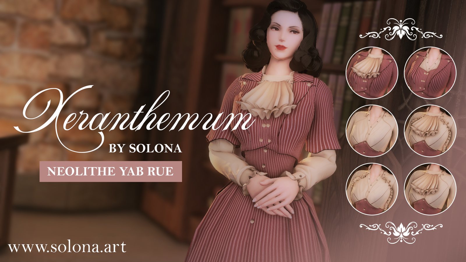 Xeranthemum